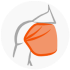 icono pectoral