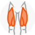 icono pectoral