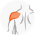 icono pectoral